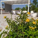 Casa Cottone *
